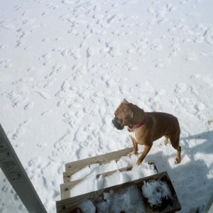 Our big snow Dec 04