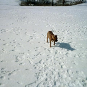 Enjoying the snow
