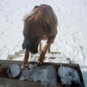 Ready to come in..burrrr