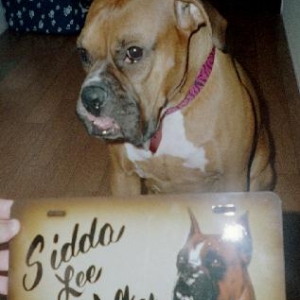 Christmas present for mommy, does it look like me?