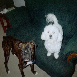 Henry and little sis