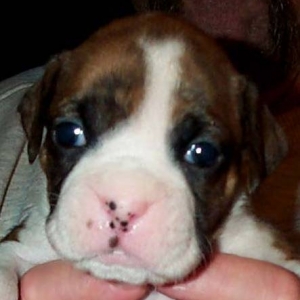 Baby Gunnar