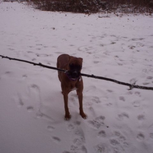 Riley the mighty!
