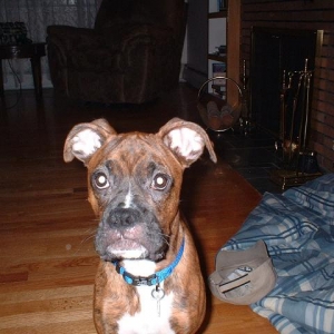 i am starting to grow up