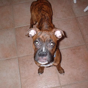 wow you are tall Daddy