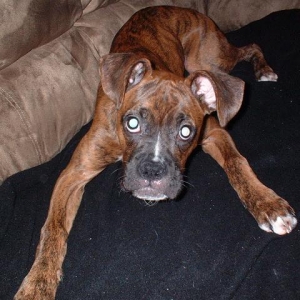 5 months today !!!!!!! WOOOOWIE and i even get a blanket on the couch