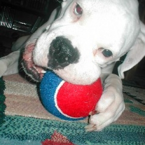 Cain and his ball