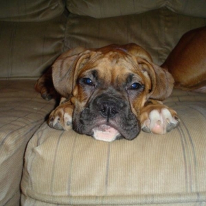 Soooooo Tired
