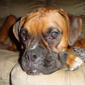 I need a nap!!