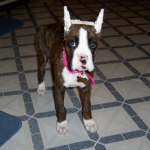 When does this come off?