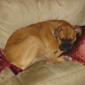 sleepy star