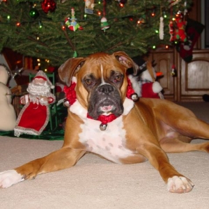 Christmas 2004