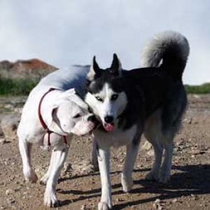 Avra and her friend Ermis