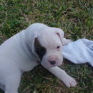 petey_by_himself