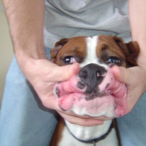 help me say cheese daddy
