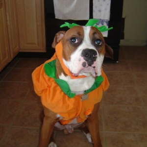 I think i look silly!! Don't you?