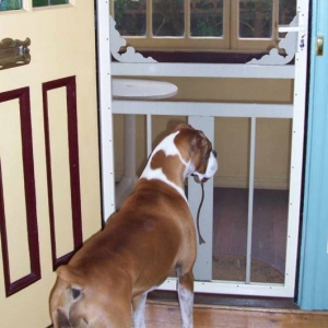 Door Duty