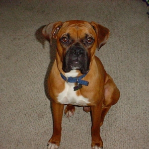 Tye sitting pretty