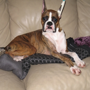 My Leg is Getting Better