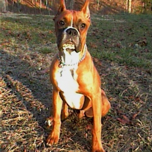 GAGE