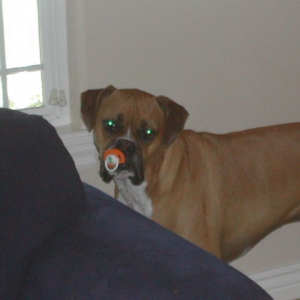 O and that pacifier!