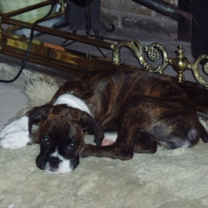 After her first walk on boxing day