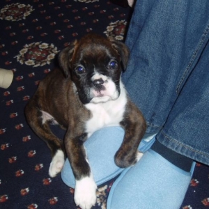 The first day we got our baby, oh how time change!