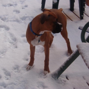 Let It Snow!