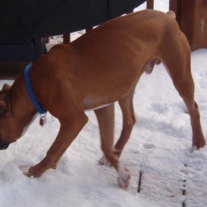 Can I Play In The Snow?