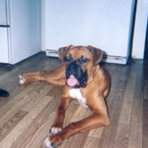 Tye