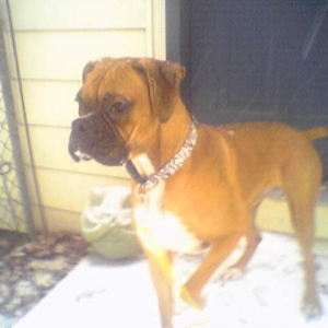 Checking out the snow...