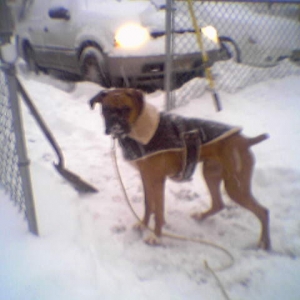Keep on snowing...