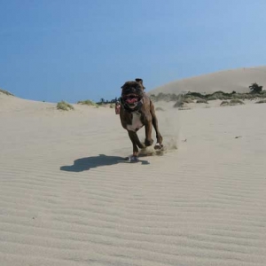 I love sand dunes!!