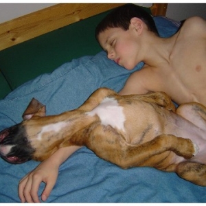 Looks like a sleeping turkey