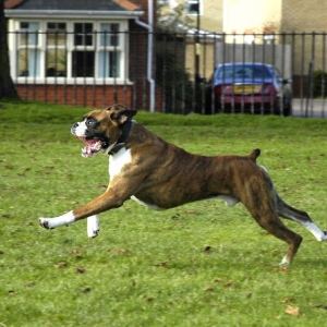 Full stretch - and what a face