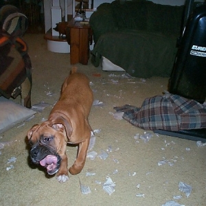 Olivia's hunger for knowledge