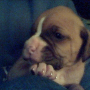 precious lil guy