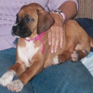 My Pretty Girl