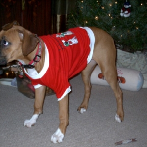 Sancha's First Christmas