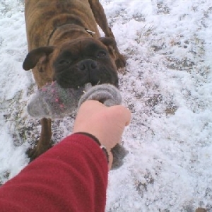 tug 'o' war