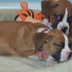 Mya & Brody