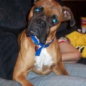 The "Man" of the house