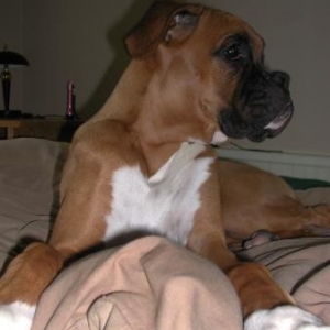This is my bed, right?