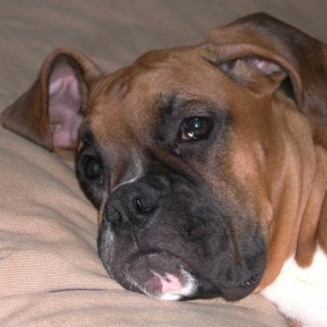 Yes, my bed, I'm so comfy.