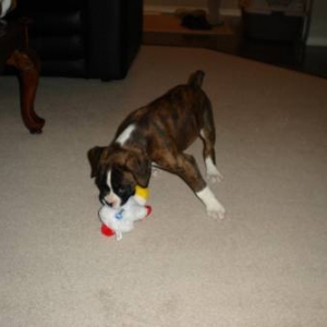 I love this new toy!!