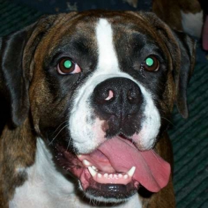 Abby`s smiling