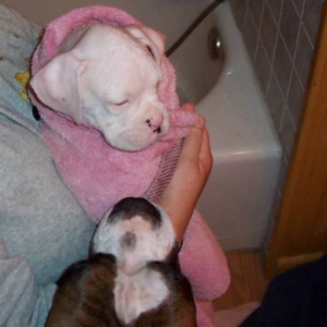 My first bath