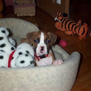Our New Baby Girl