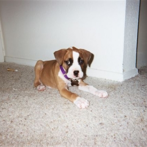 looking so innocent