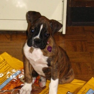 I ate the whole bag mom!